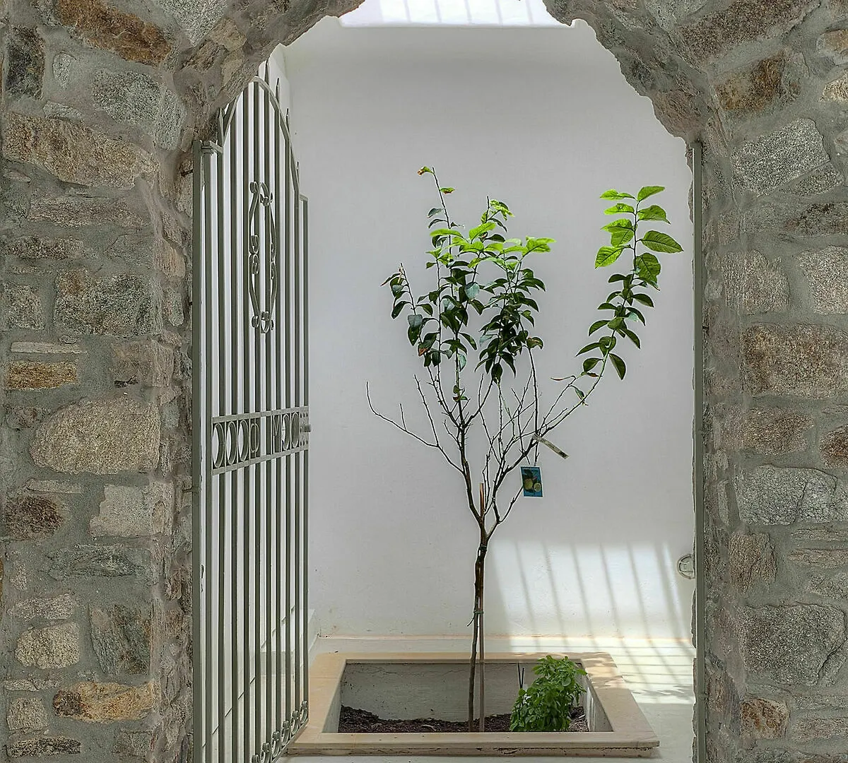 Villa Barbarossa - Elegant Beachfront Retreat With Heated Pool & Outdoor Gym 0*, Ftelia (Mykonos) Grèce